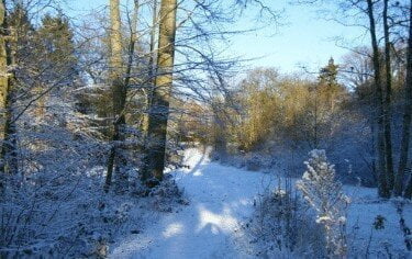 Retraitecentrum Klein Sion tuin sneeuw