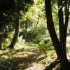 Retraitecentrum Klein Sion wandeling